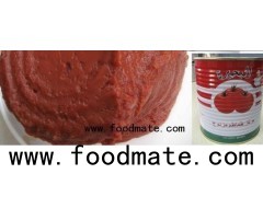 Canned Tomato Paste