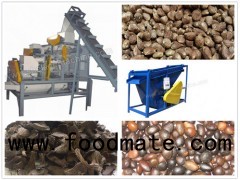 (1000 kg/h)Large Unit of Palm Nuts Shelling and Separating Machine