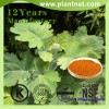 Macleaya Cordata Extract 60% Alkaloids Sanguinarine Feed Additive