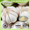 1% 2% 3% Allicin/ Garlic Powder Garlic Extract