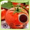 Tomato Extract  Lycopersicon