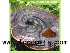 Ganoderma lucidum extract