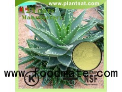 aloe vera leaf extract aloin