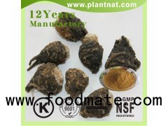 Maca Extract Anti-Fatigue Maca Root Extract