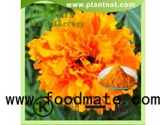 high quality lutein, marigold flower extract