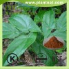 Epimedium Extract Icariin 40%