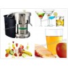 Commercial Juice Extractor