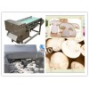 Mushroom Slicing Machine