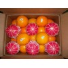 Navel orange