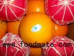 Navel orange