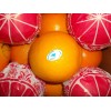 Navel orange