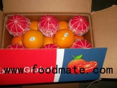 Navel orange