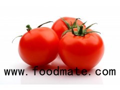 Fresh Tomatoes