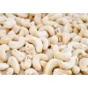 Cashew Nuts