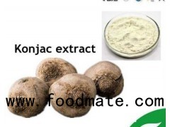 Purified Konjac Powder