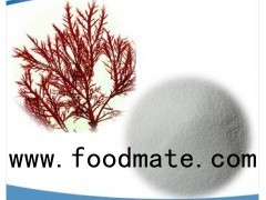 Carrageenan Powder