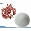 Carrageenan Powder