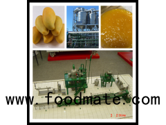 mango juice or slices production line