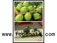 guava processing plant