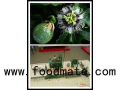 passionflower processing plant