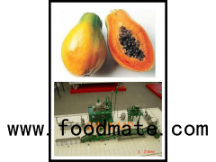 papaya processing plant