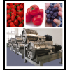 fruits pulping equipment