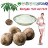 Herb Plant Extract Of Konjac Powder