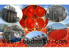 Tomato Paste Production Line
