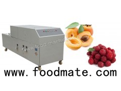 Fruit Pitting Machine