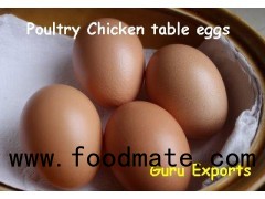 BROWN EGG WHITE SHELL CHICKEN EGGS 55-60GRAMS TABLE EGGS EXPORTERS INDIA