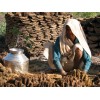 COWDUNG MANURE UNIGROW ORGANIC FERTILIZER SUPPILER EXPORTERS INDIA