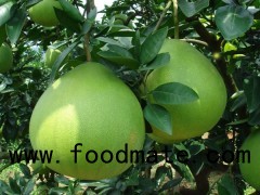 Pomelo