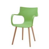 Outdoor Leisure Chair