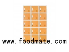 Elegant Convenient Stable Three Line Locker Fifteen Doors Changing Cabinet