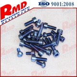 Gr5 Gr7 Gr9 Gr12 High Standard Titanium Alloy Titanium Bolts Screws Washer