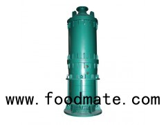 D Series Of Dry Type Explosion-proof Sand Gravel Pump