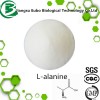 Best price 99% purity bulk powder L-Alanine 56-41-7