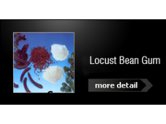Locust Bean Gum