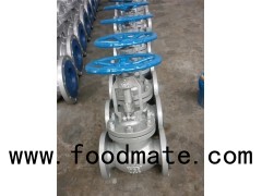 astm a216 API Flange Globe Valve