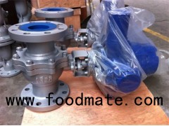 Motorized Ball Valve with Electric Actuator