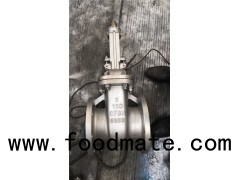 API Cast Stainless Steel Gate Valve