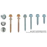 Hex Flange Head Self Tapping Screw