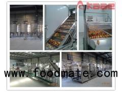 Turnkey Project Fruit And Vegetable Pulp/jam/puree/paste Processing Line