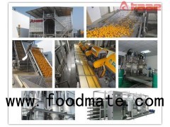 Turnkey Project Citrus/orange/lemon/mandarin Concentrated Juice Processing Line