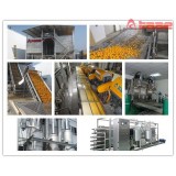 Turnkey Project Citrus/orange/lemon/mandarin Concentrated Juice Processing Line