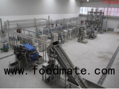 Turnkey Project Industrial Blueberry And Waxberry Concentrated Juice Processing Line