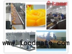 Turnkey Project Fruit And Vegetable Canned Food Processing Line