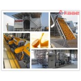 Turnkey Project Industrial NFC Orange Juice Processing Line