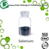 Food Grade Natural Organic Selenium Powder