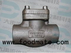 API 602 Standard Forged Steel NPT /SW /BW Swing Check Valve